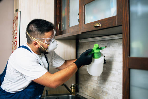 Best Wasp Removal Services  in Teays Valley, WV