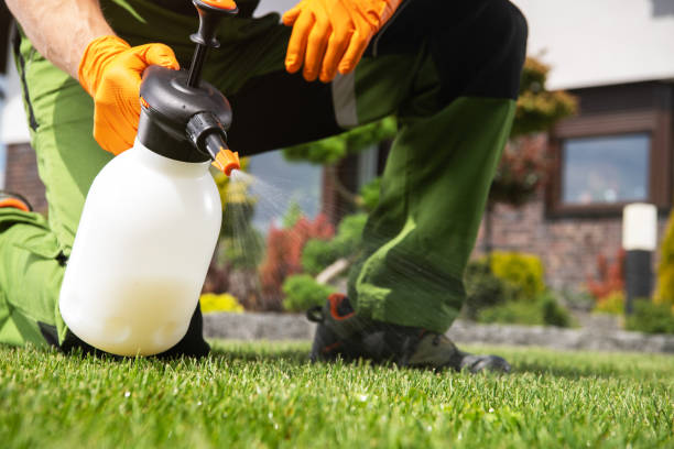 Flea Control Services in Teays Valley, WV