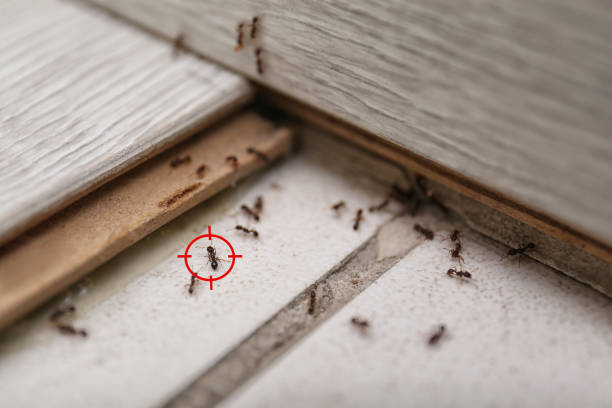 Teays Valley, WV Pest Control Company