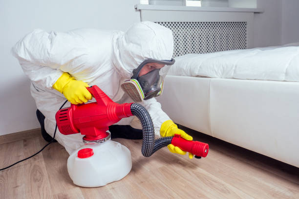 Best Residential Pest Control  in Teays Valley, WV