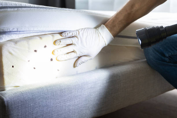 Best Residential Pest Control  in Teays Valley, WV