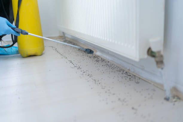 Best Best Pest Control Companies  in Teays Valley, WV