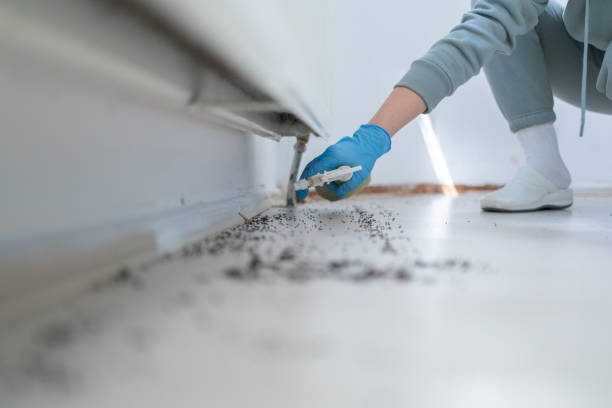 Best Bed Bug Extermination  in Teays Valley, WV