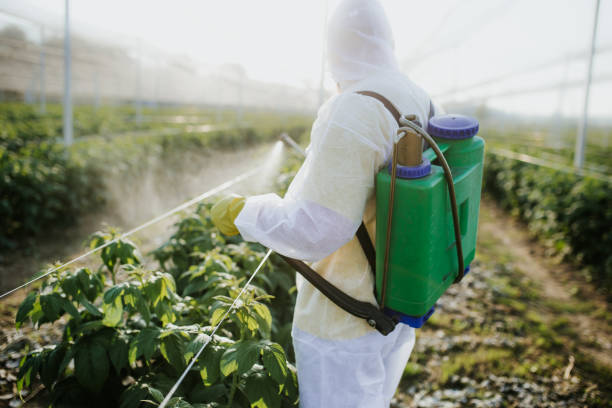 Best Insect Control  in Teays Valley, WV